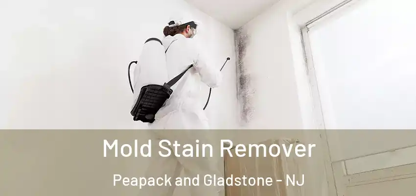 Mold Stain Remover Peapack and Gladstone - NJ