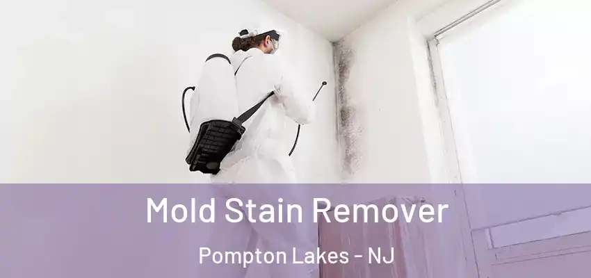  Mold Stain Remover Pompton Lakes - NJ