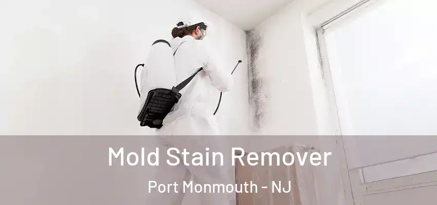 Mold Stain Remover Port Monmouth - NJ