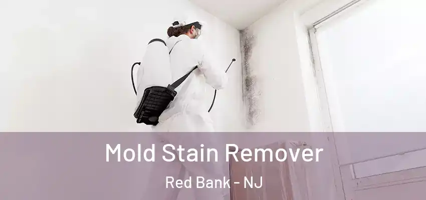 Mold Stain Remover Red Bank - NJ