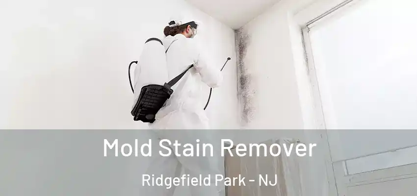 Mold Stain Remover Ridgefield Park - NJ