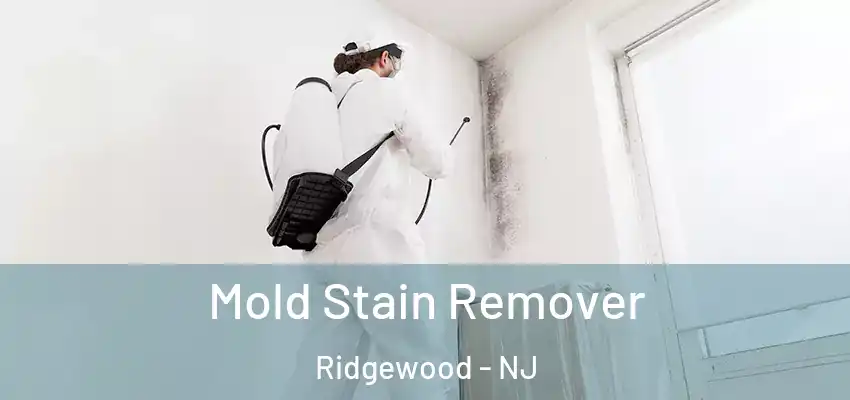 Mold Stain Remover Ridgewood - NJ