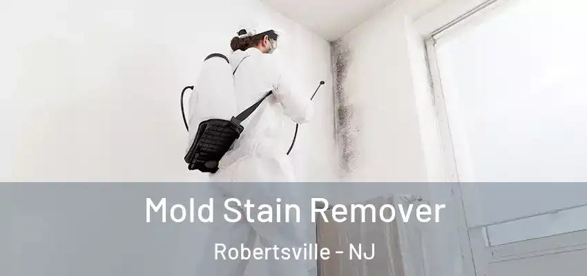 Mold Stain Remover Robertsville - NJ