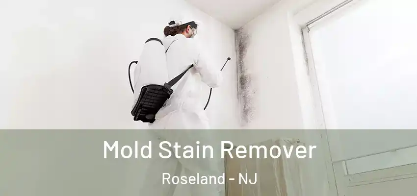 Mold Stain Remover Roseland - NJ