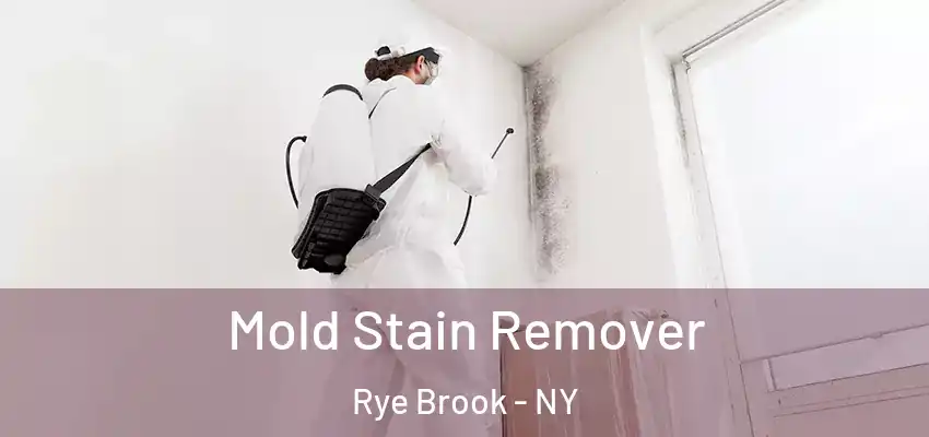  Mold Stain Remover Rye Brook - NY