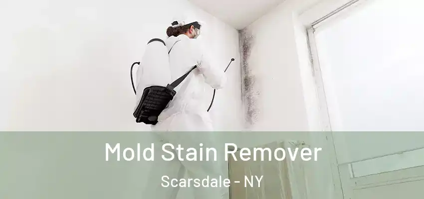  Mold Stain Remover Scarsdale - NY