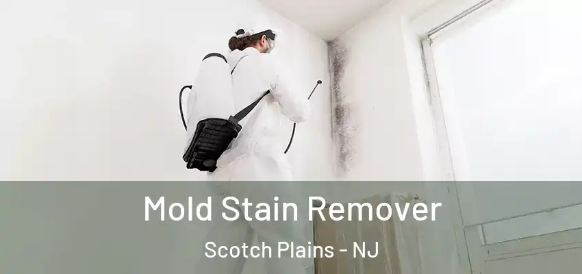 Mold Stain Remover Scotch Plains - NJ