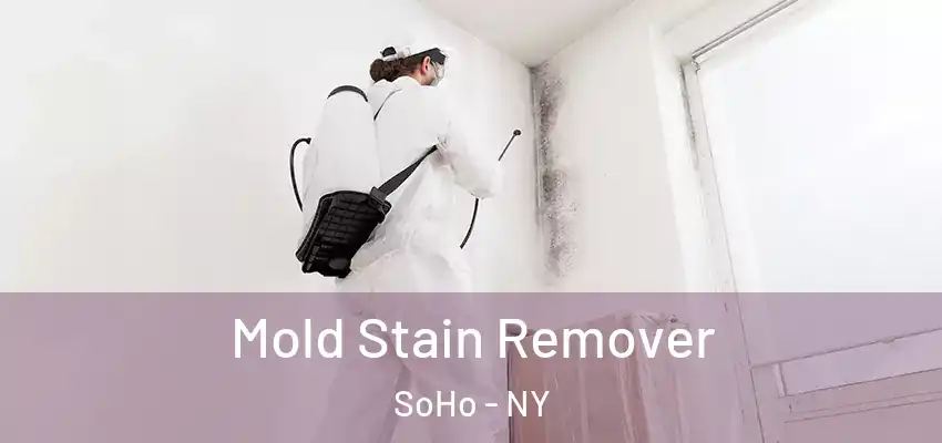  Mold Stain Remover SoHo - NY