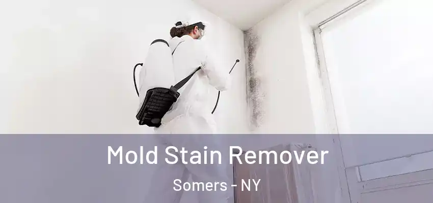 Mold Stain Remover Somers - NY