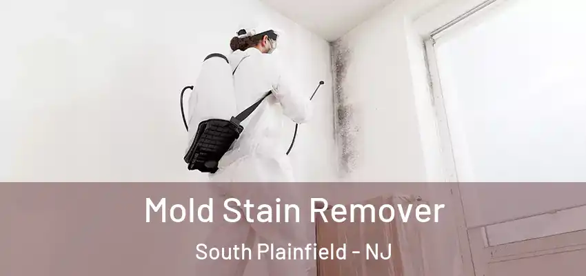 Mold Stain Remover South Plainfield - NJ