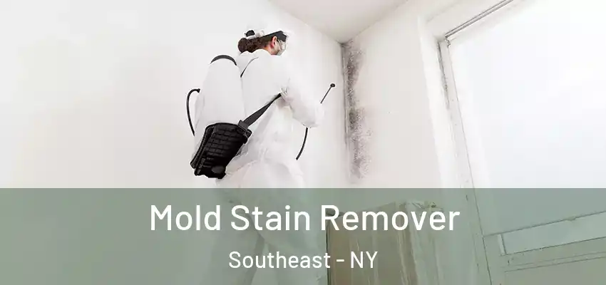 Mold Stain Remover Southeast - NY