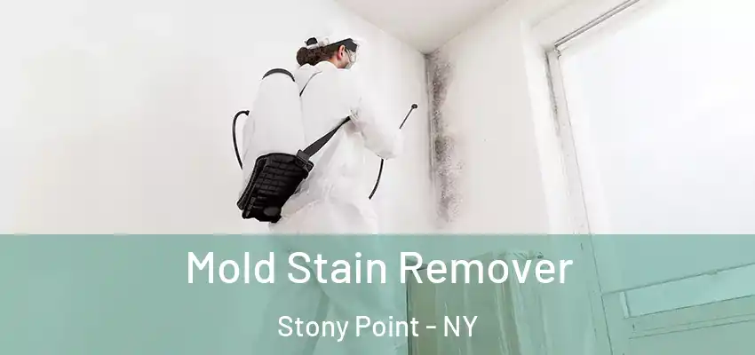  Mold Stain Remover Stony Point - NY