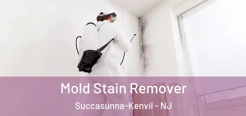 Mold Stain Remover Succasunna-Kenvil - NJ
