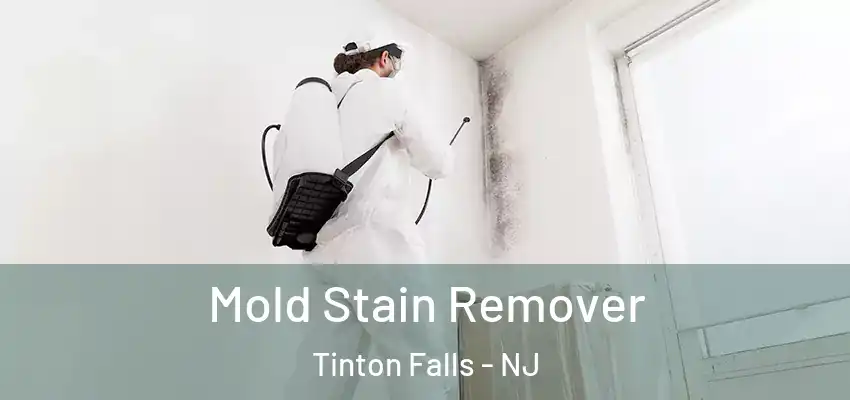  Mold Stain Remover Tinton Falls - NJ