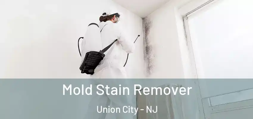 Mold Stain Remover Union City - NJ