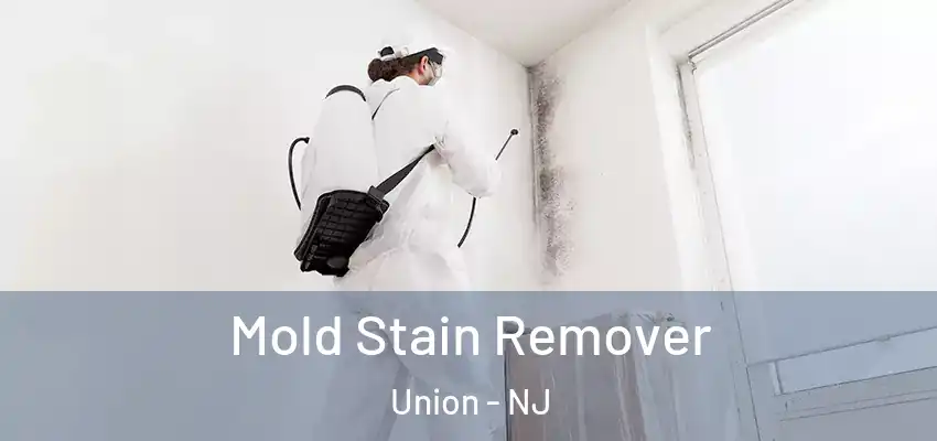  Mold Stain Remover Union - NJ