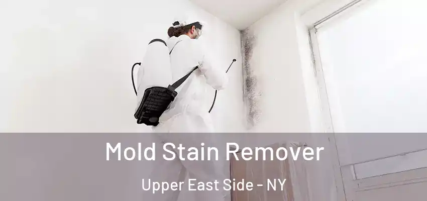 Mold Stain Remover Upper East Side - NY
