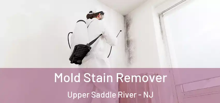  Mold Stain Remover Upper Saddle River - NJ