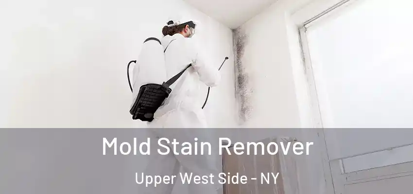  Mold Stain Remover Upper West Side - NY