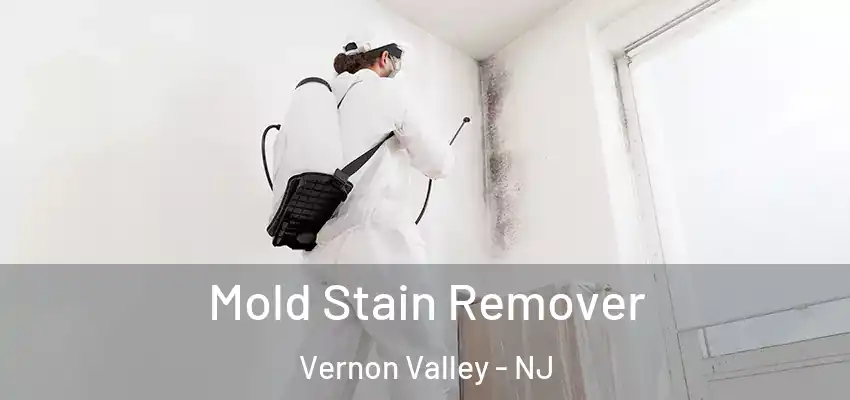 Mold Stain Remover Vernon Valley - NJ