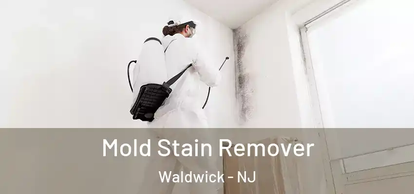 Mold Stain Remover Waldwick - NJ