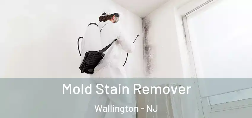  Mold Stain Remover Wallington - NJ