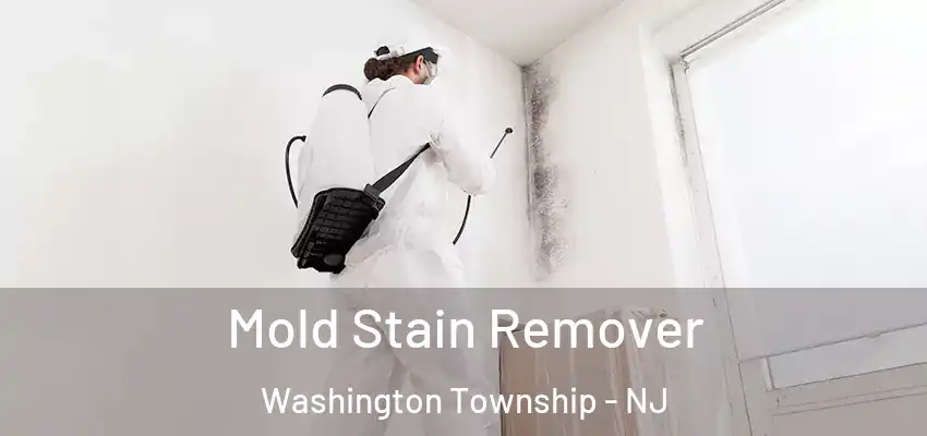 Mold Stain Remover Washington Township - NJ