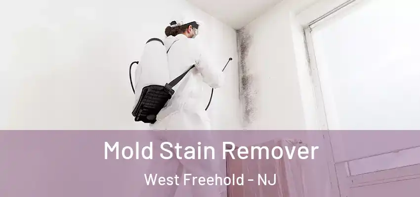 Mold Stain Remover West Freehold - NJ