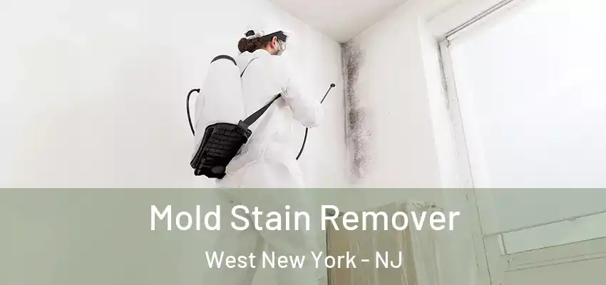 Mold Stain Remover West New York - NJ