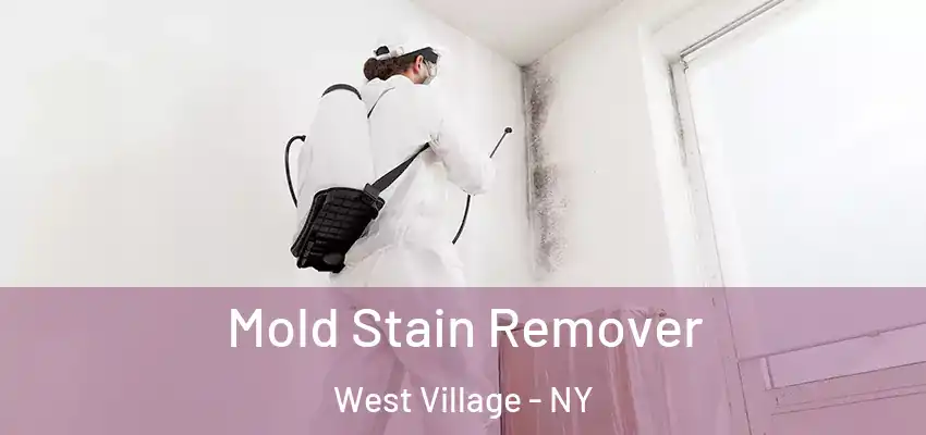 Mold Stain Remover West Village - NY