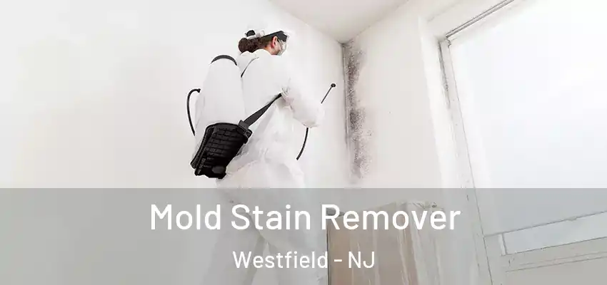 Mold Stain Remover Westfield - NJ
