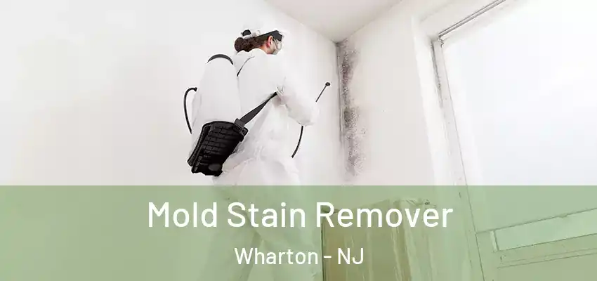  Mold Stain Remover Wharton - NJ