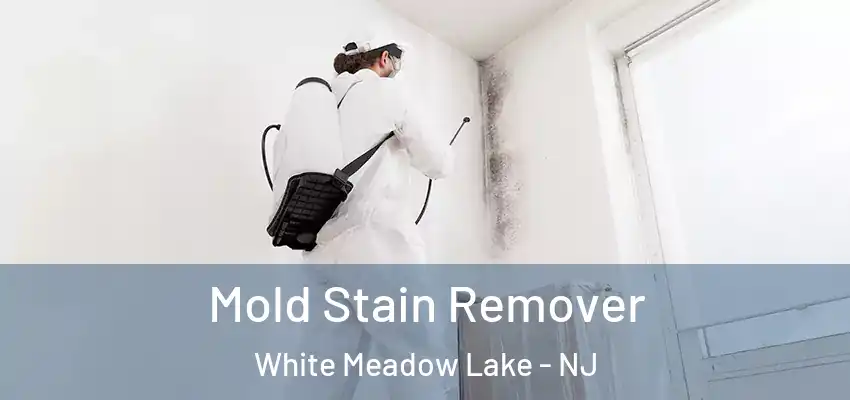 Mold Stain Remover White Meadow Lake - NJ