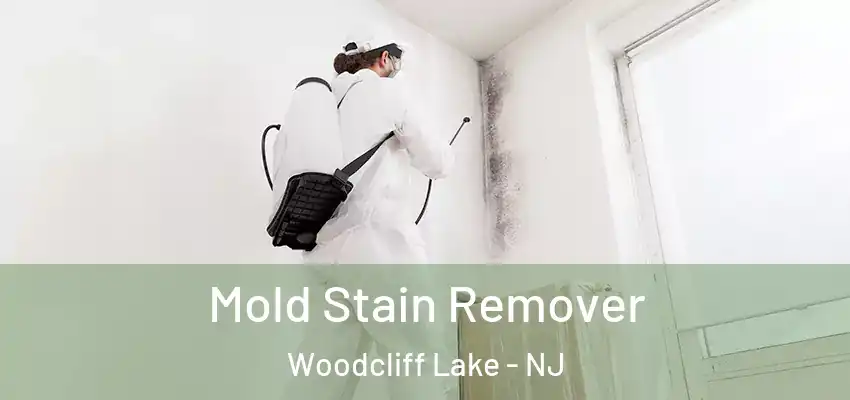 Mold Stain Remover Woodcliff Lake - NJ
