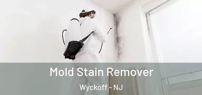 Mold Stain Remover Wyckoff - NJ