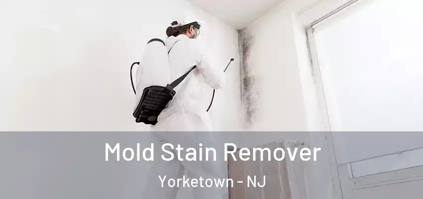 Mold Stain Remover Yorketown - NJ