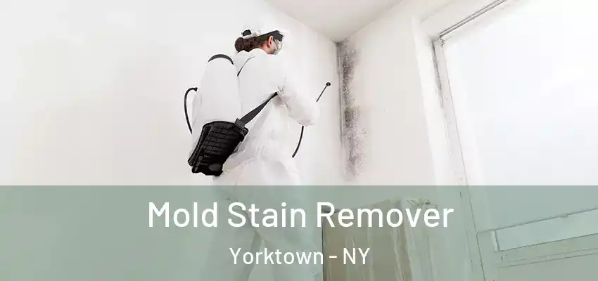  Mold Stain Remover Yorktown - NY