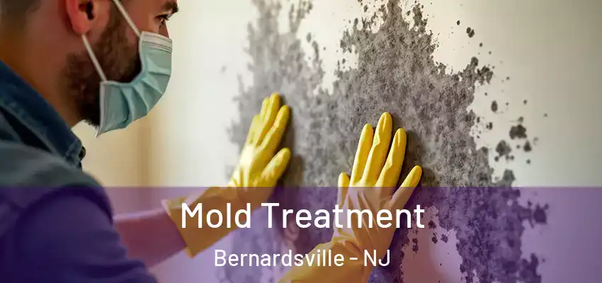 Mold Treatment Bernardsville - NJ