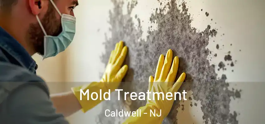 Mold Treatment Caldwell - NJ