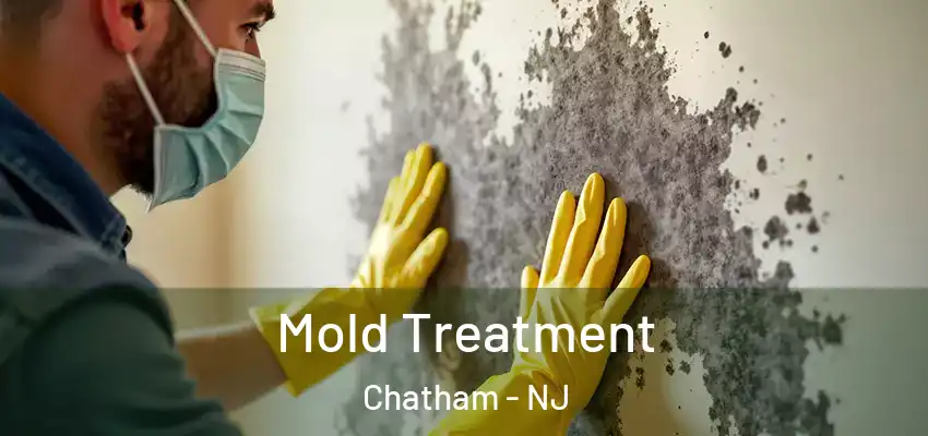 Mold Treatment Chatham - NJ