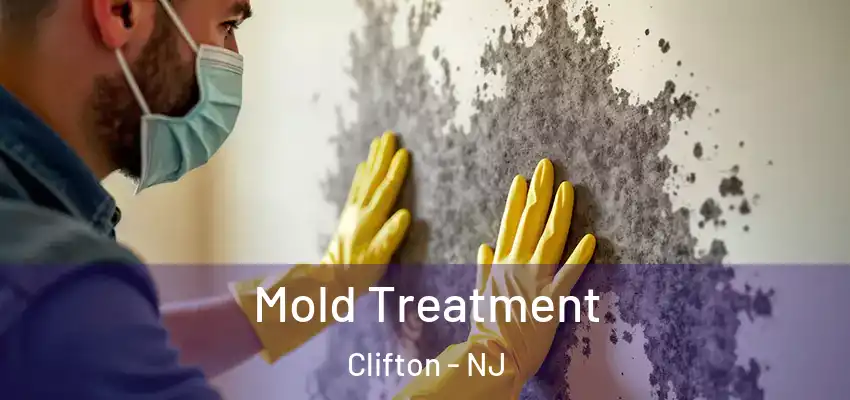 Mold Treatment Clifton - NJ