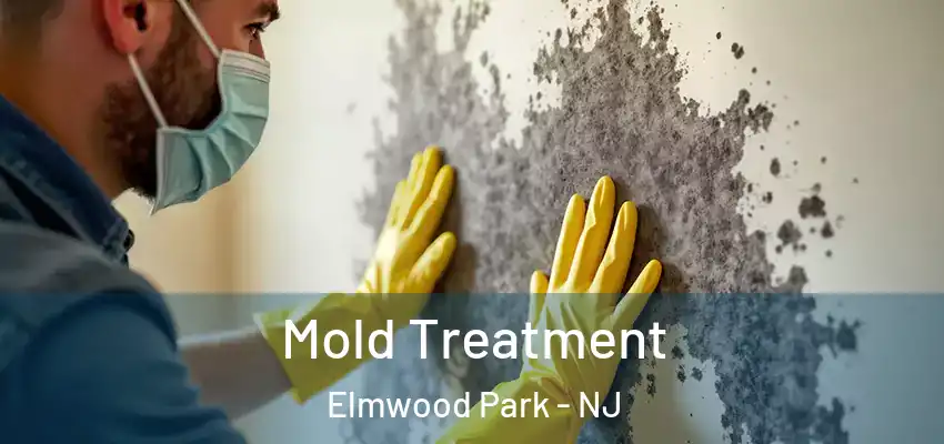  Mold Treatment Elmwood Park - NJ