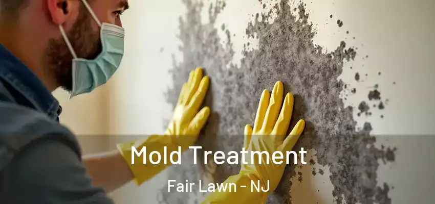 Mold Treatment Fair Lawn - NJ