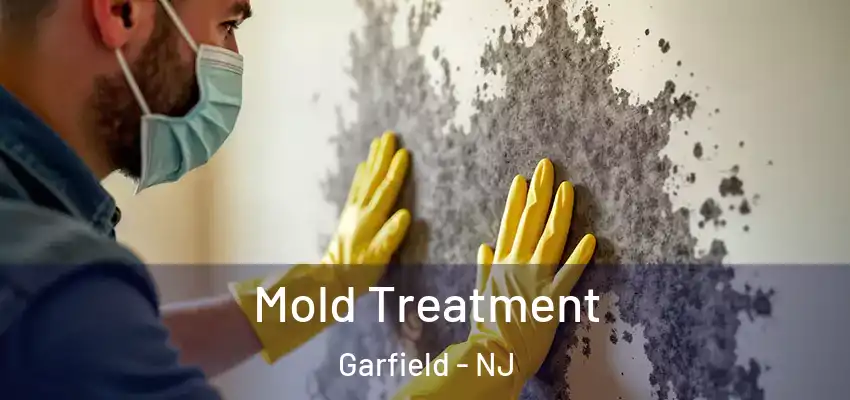 Mold Treatment Garfield - NJ