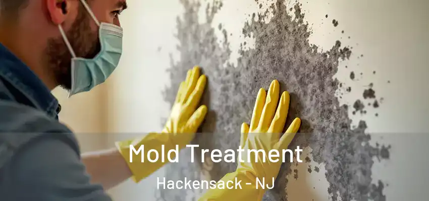 Mold Treatment Hackensack - NJ