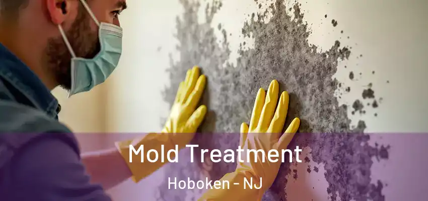 Mold Treatment Hoboken - NJ