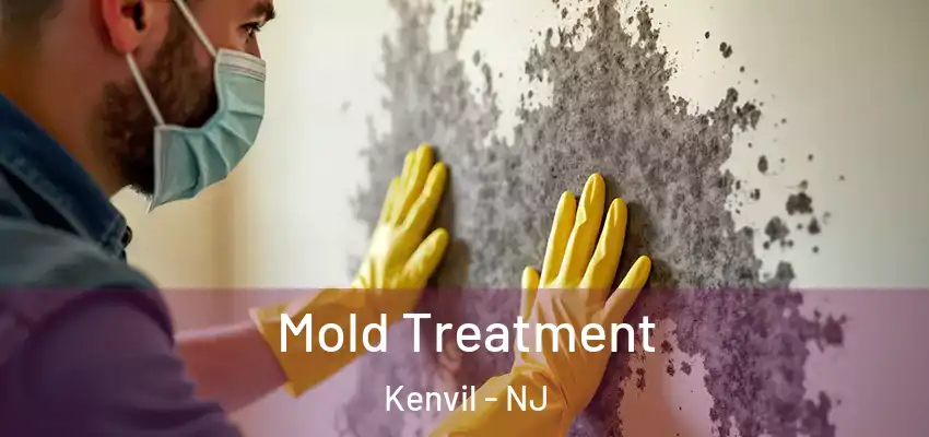  Mold Treatment Kenvil - NJ