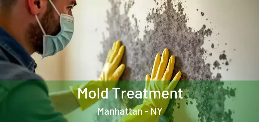 Mold Treatment Manhattan - NY