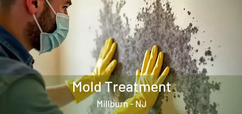  Mold Treatment Millburn - NJ