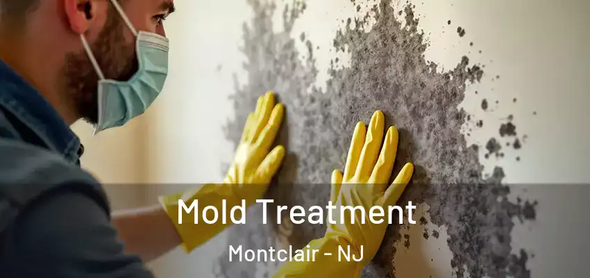 Mold Treatment Montclair - NJ